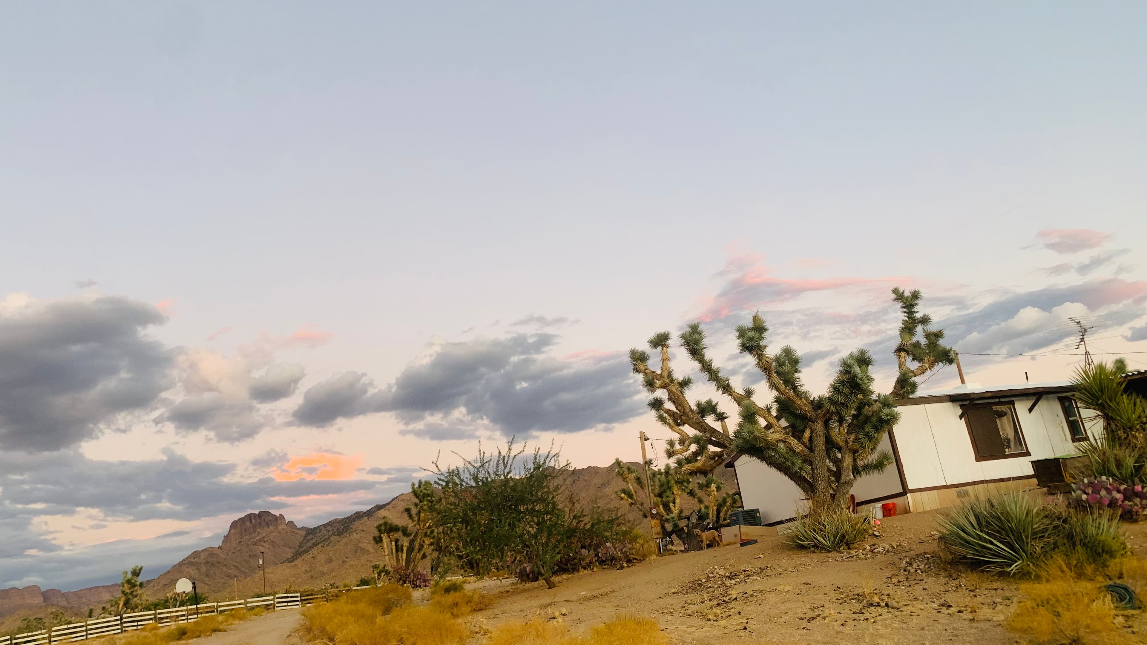 16676 Kingman Drive photo 4