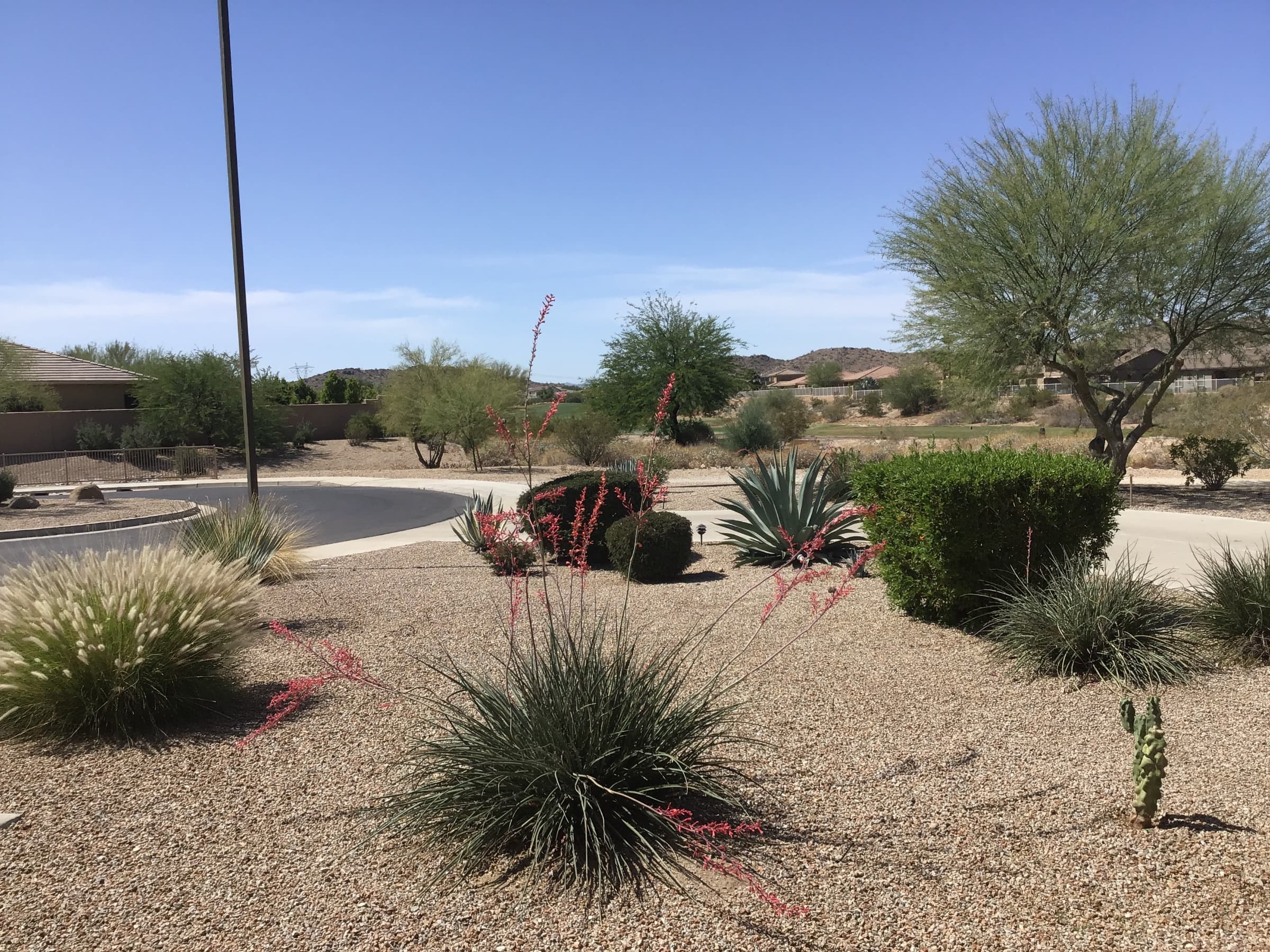 18246 West East Wind Avenue photo 3