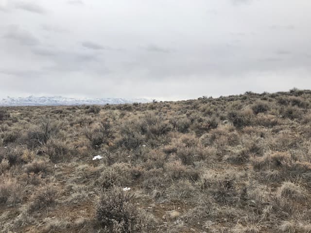 Gopher Crk Elko photo 2