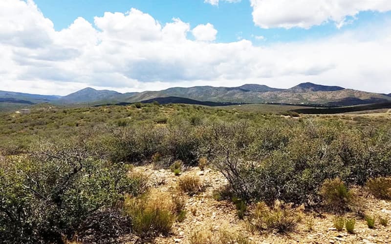 1545 S Rudy's Trl photo 1