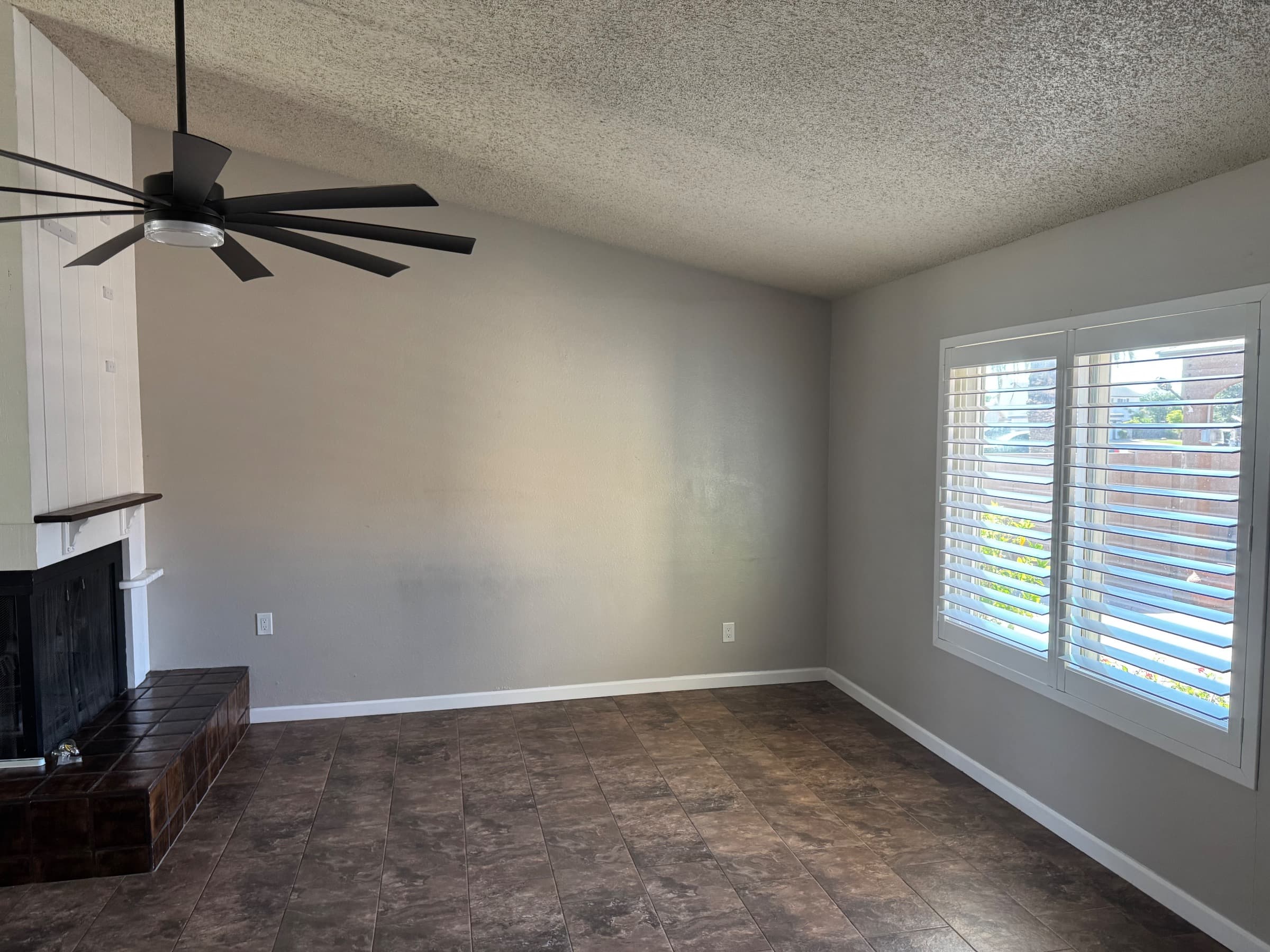 1837 South Cholla photo 2