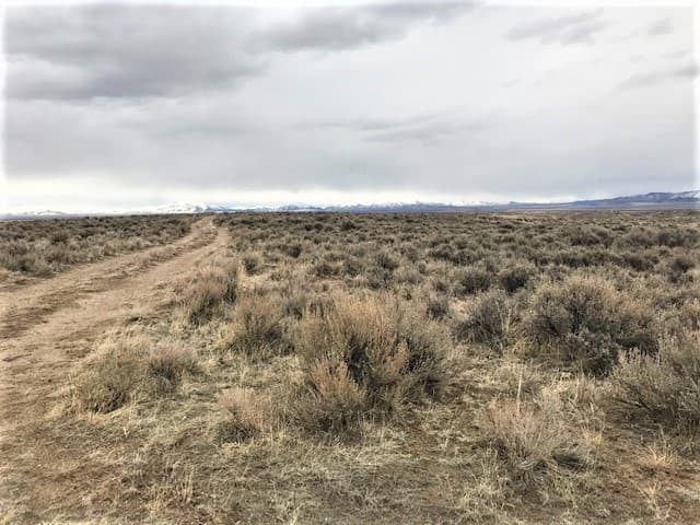 Winter creek rd photo 1