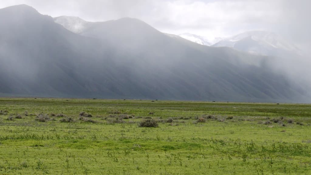 Danna Road, Crescent Valley, Eureka County, NV photo 1