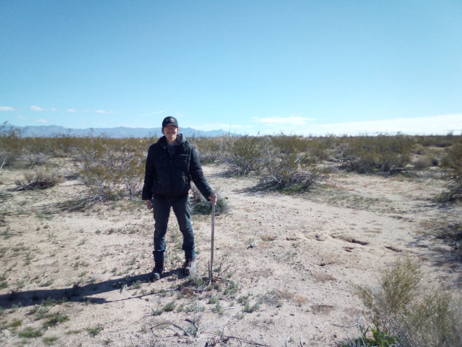 145980 Akchin Rd. Yuca, AZ 86438 photo 1