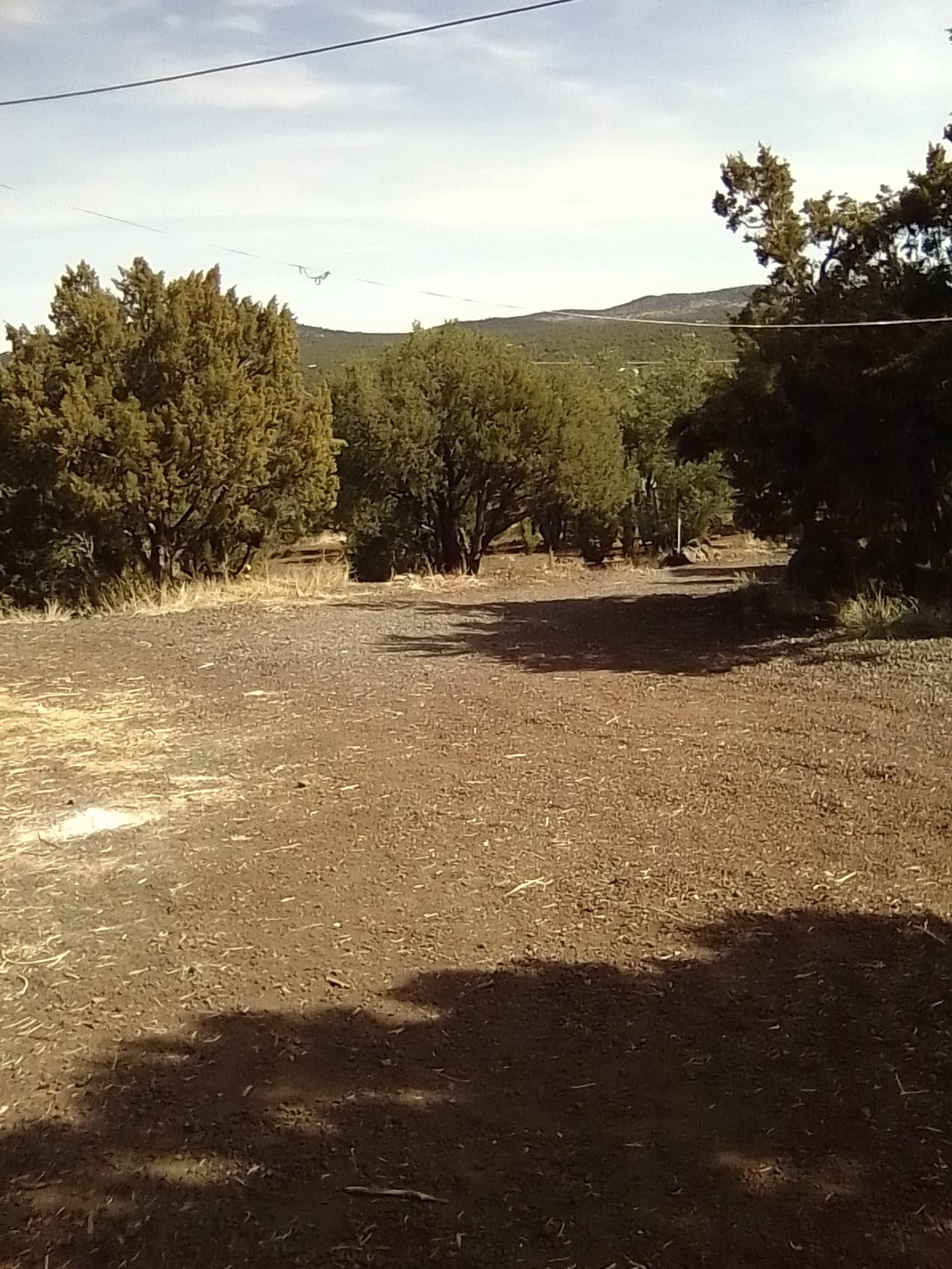 482 Apache County Road 3144 photo 2