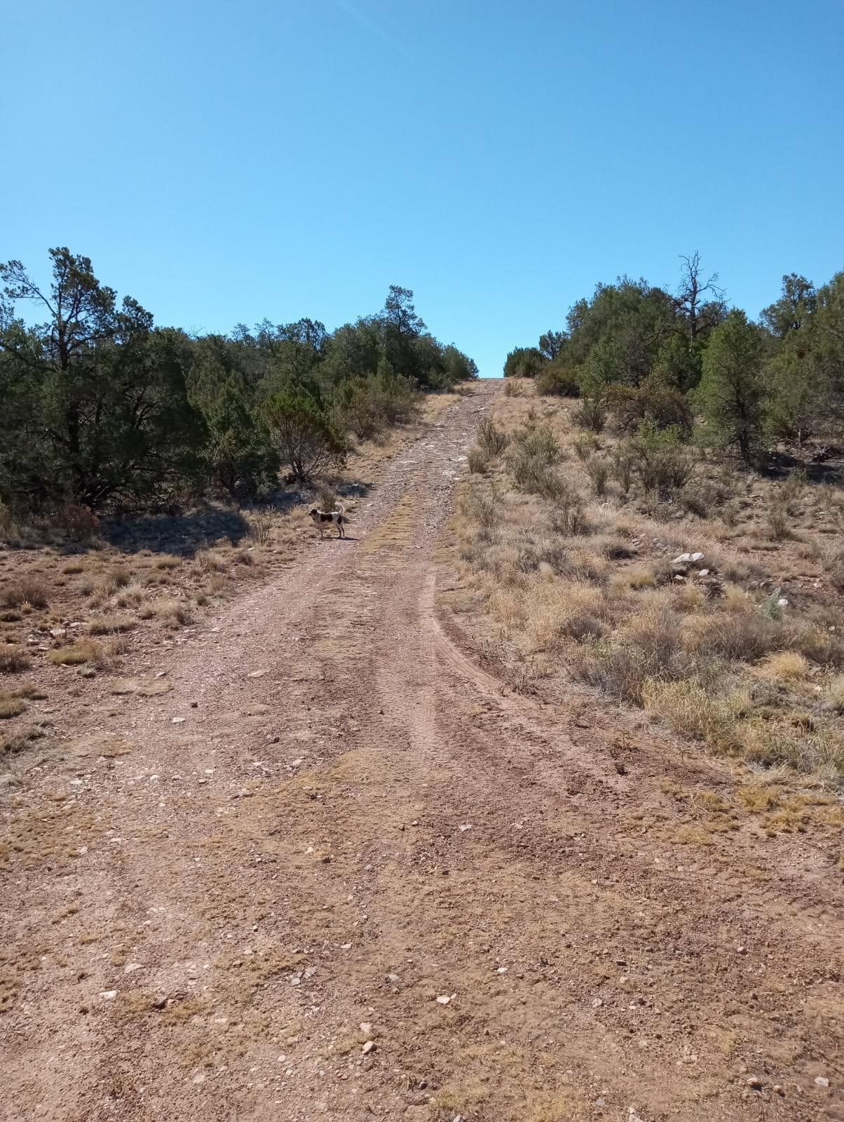 1975 Sierra Lane, Lot #9 photo 1