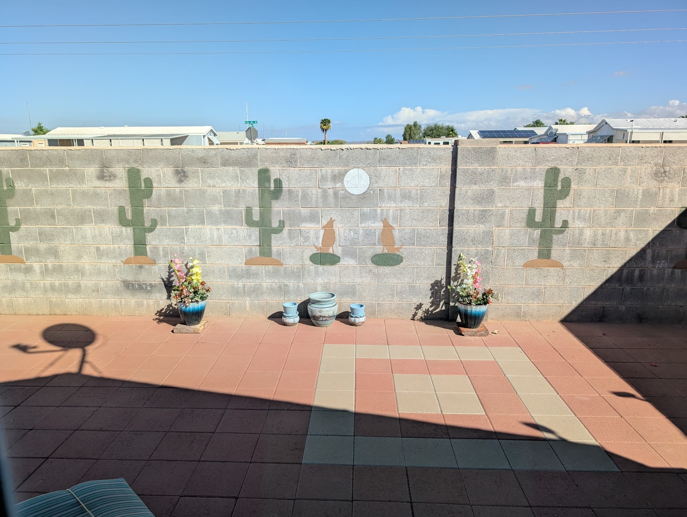 10650 S. Avenida Compadres, 30 photo 2