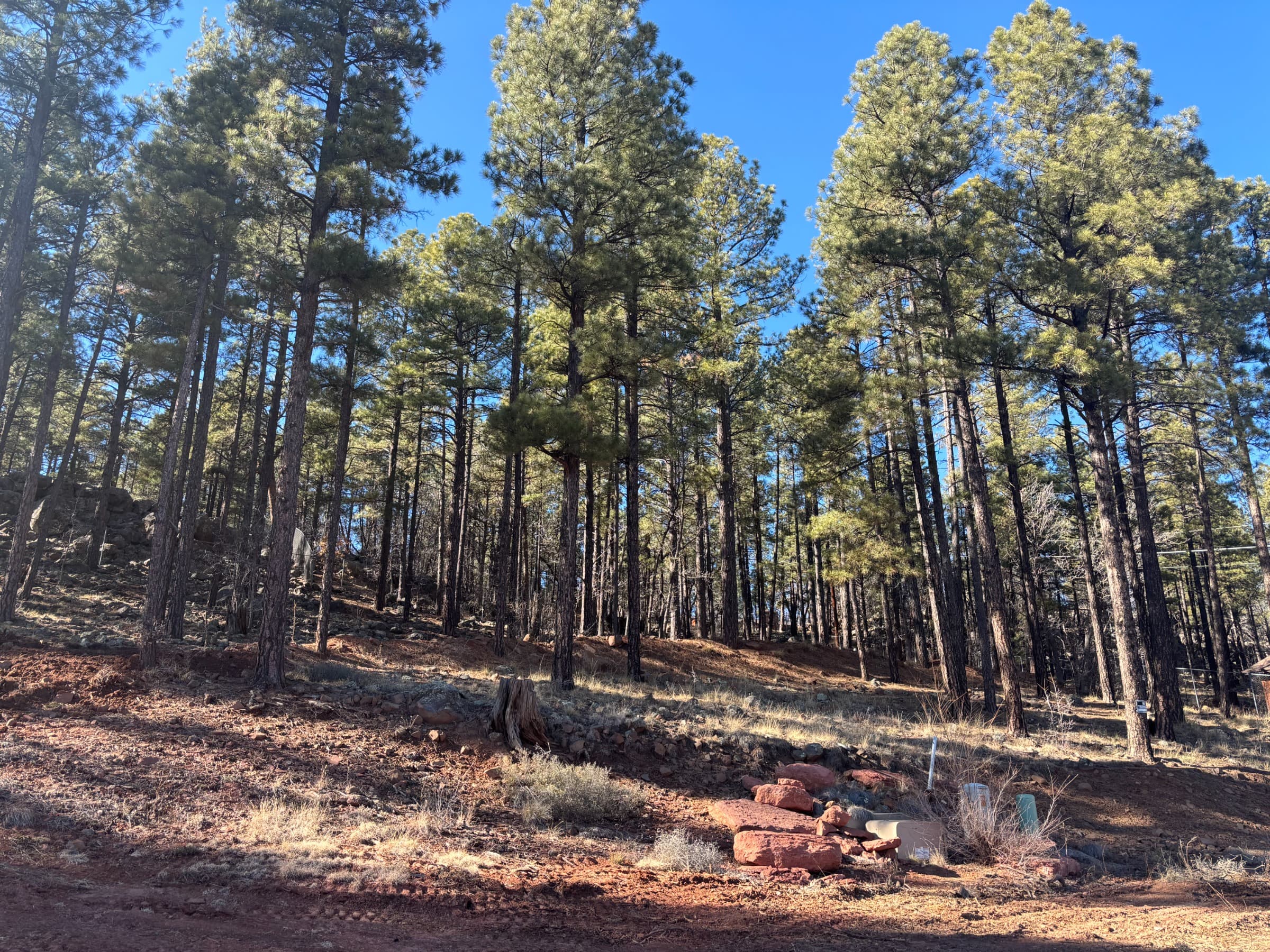 675 North Forest View Drive photo 1