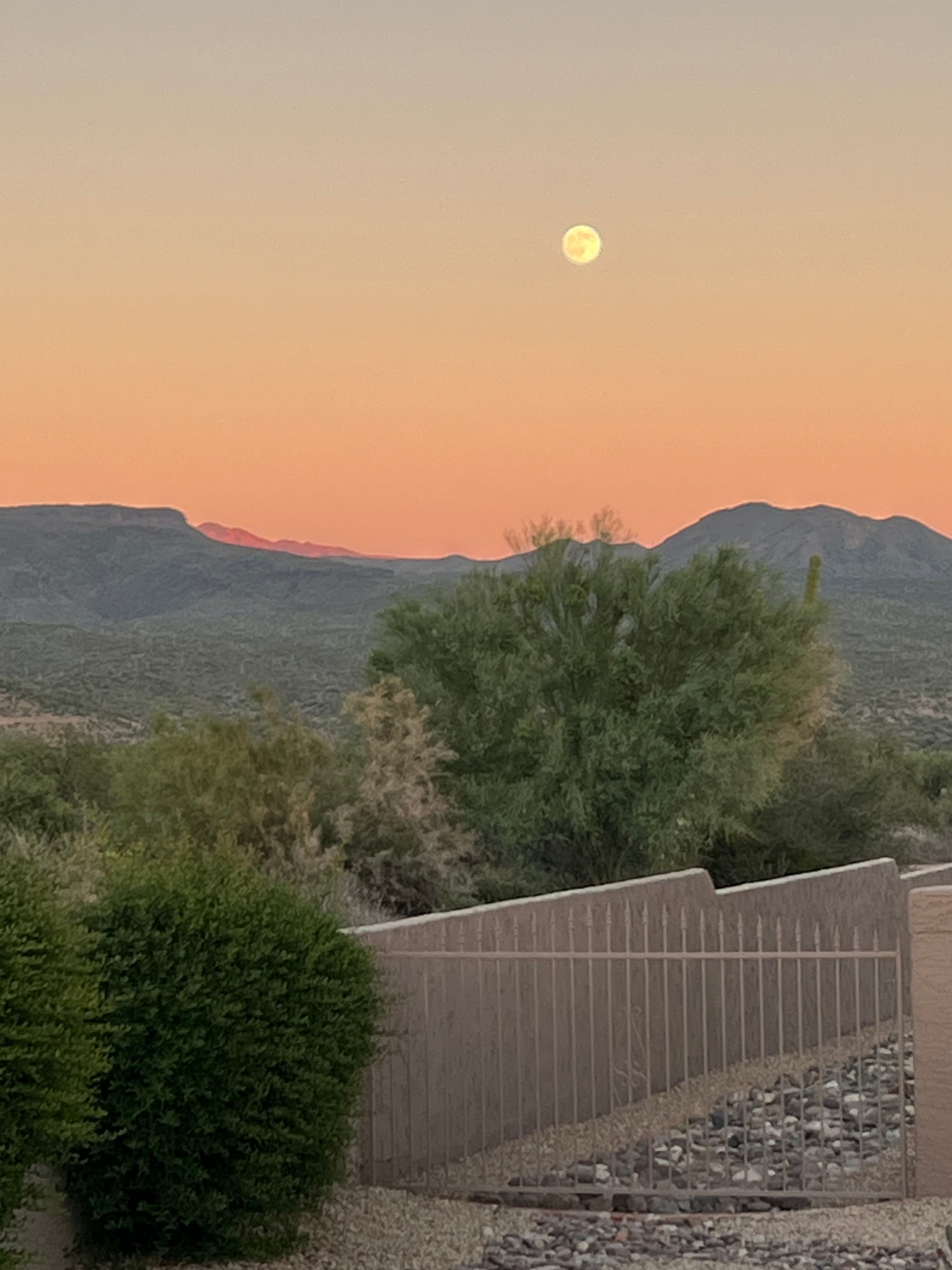 19010 East Tonto Trail photo 3