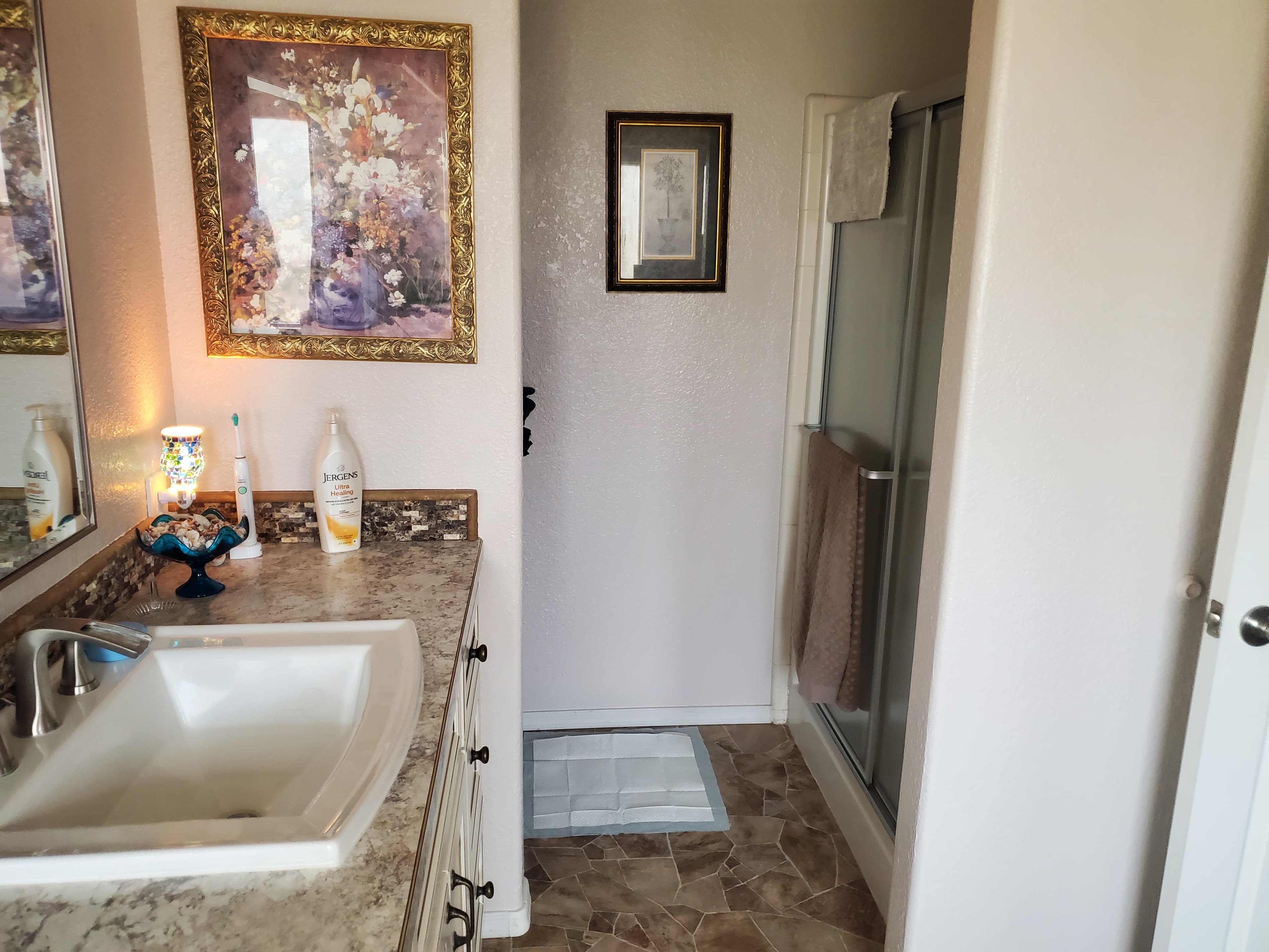 724 North Mesquite Tree Drive, Lot 207 photo 4