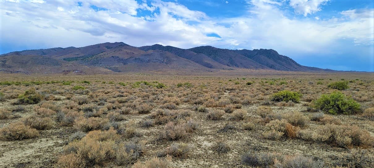 Mystic road, photo 1
