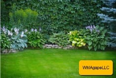 33.76077086761008, -112.44832326462023 photo 1