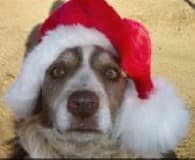 17112 North Magnolia Drive, 328-04-407 photo 1