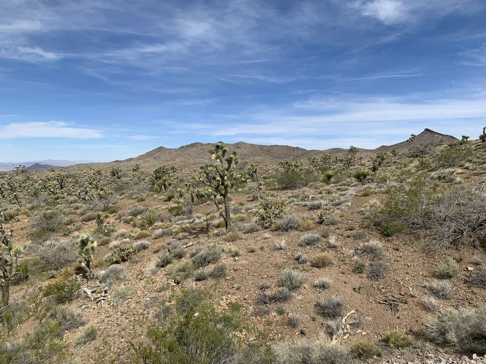 White Hills Road, 32915001 photo 1