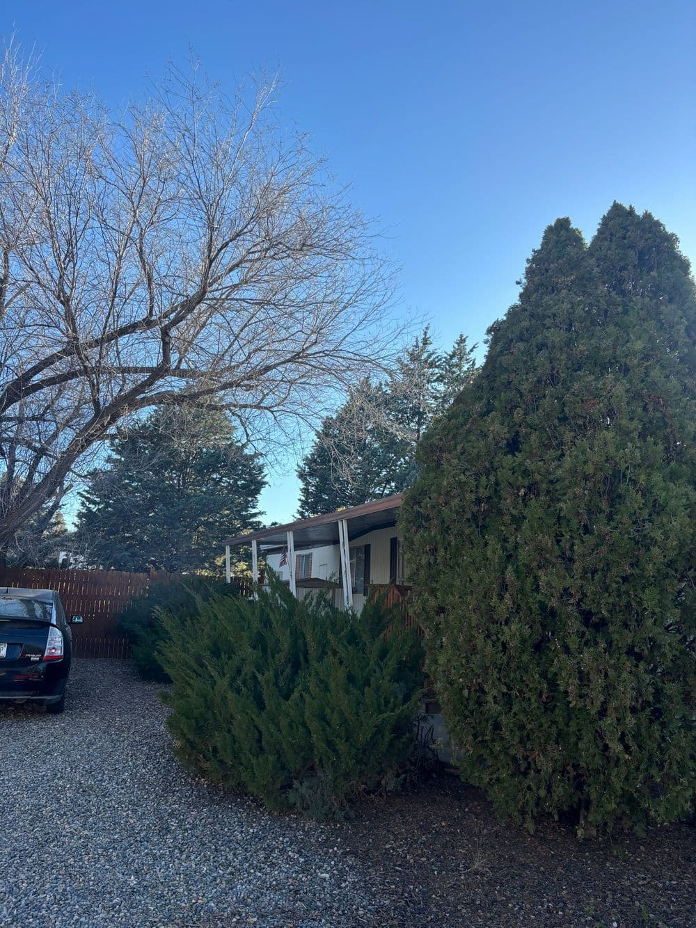 1513 Acklin Drive photo 1