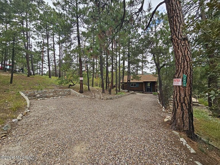 12478 N Middle Sabino Rd photo 3