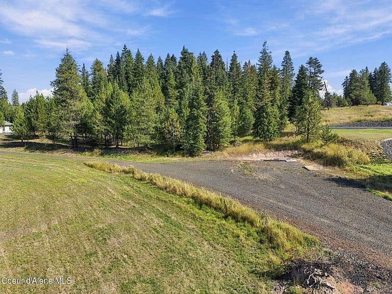 81 Mountain Pasture Dr photo 3