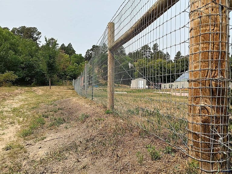 20099 Bia Rd #4 photo 5