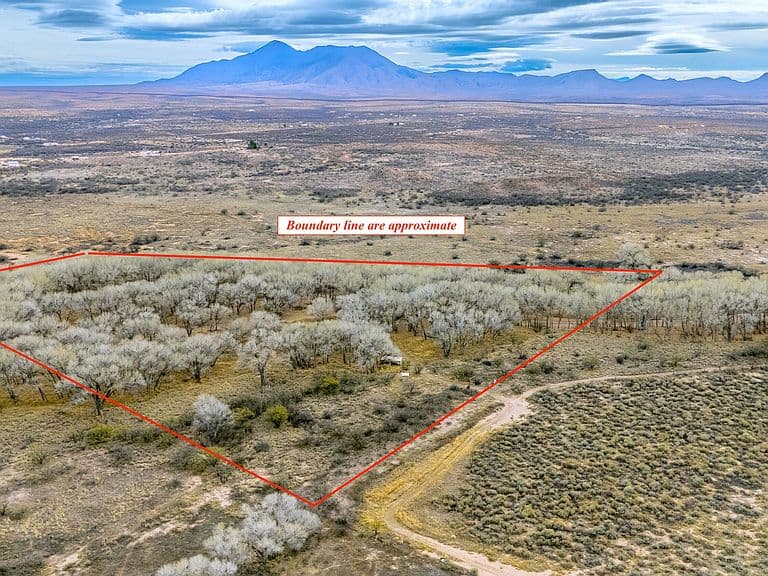 Battle Of The Bulls Rec Cp #B photo 5