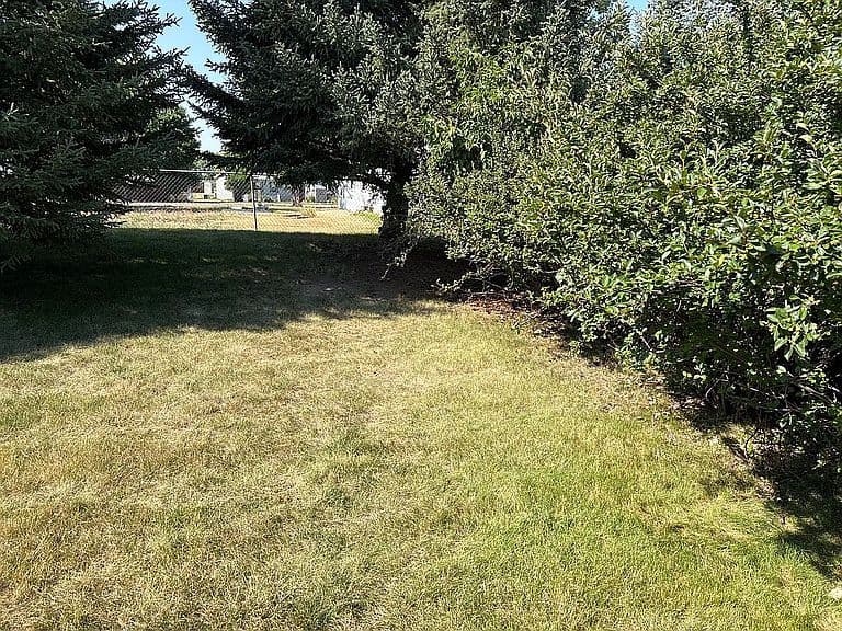 1719 Sagebrush Dr photo 5
