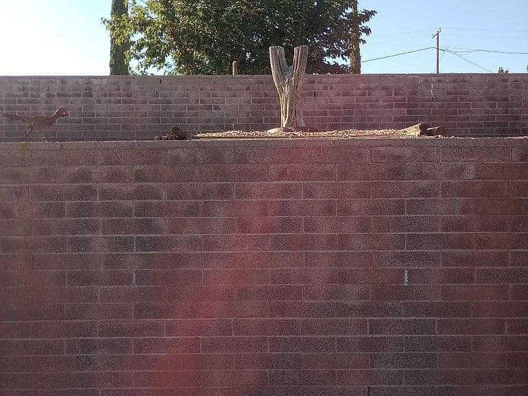 1206 E VISTA Circle photo 5