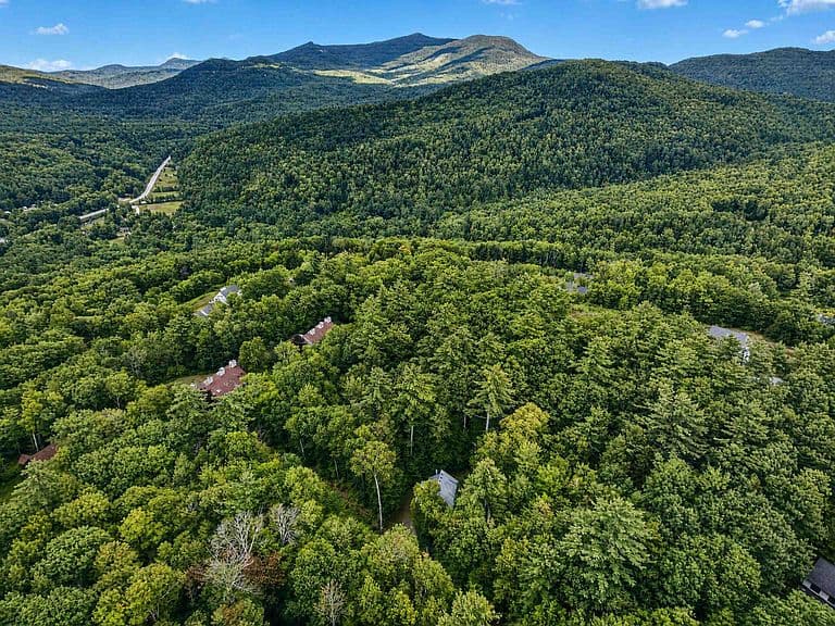 189 Snowood Drive photo 5