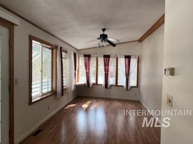 24 Castle Meadow Dr photo 5