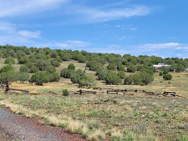 50400 N Starship Trail photo 5