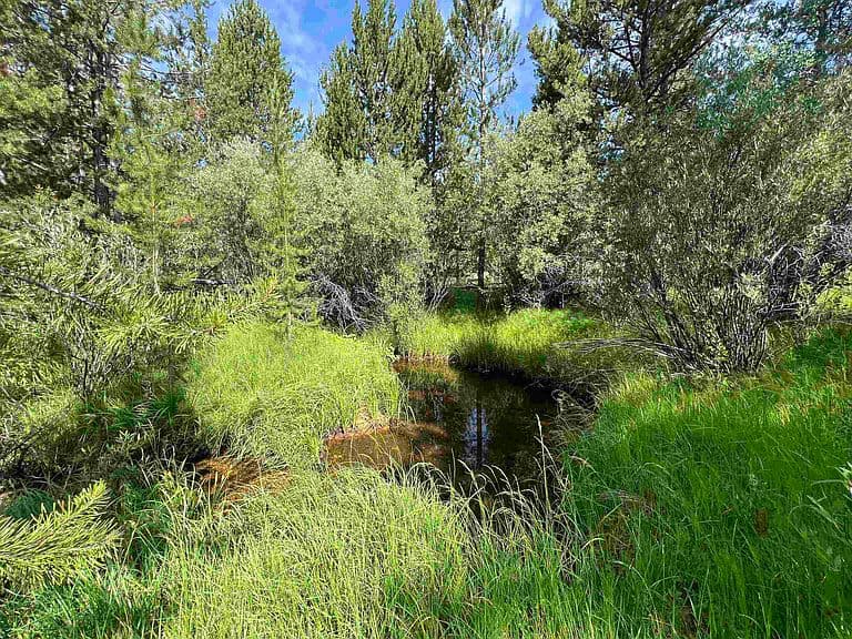 3858 Highway 28 photo 4