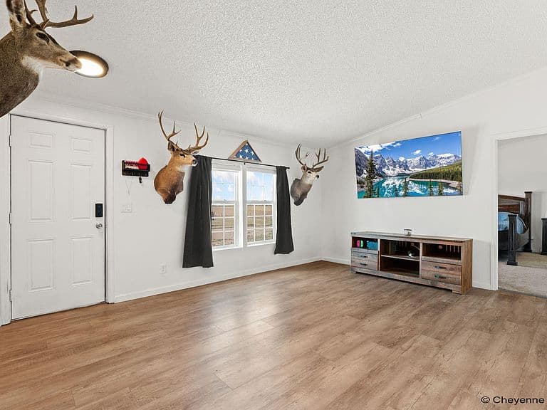 1253 Road 146 photo 4
