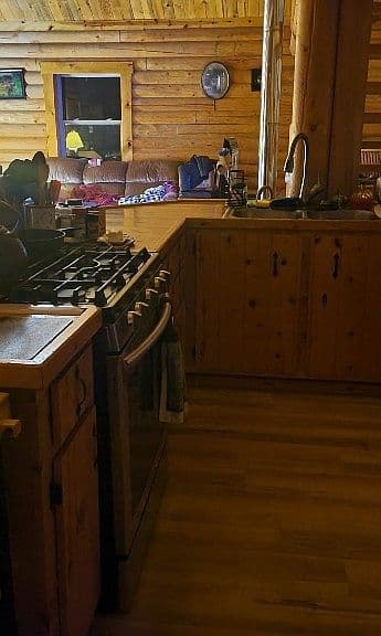 309 Bear Paw Trl photo 3