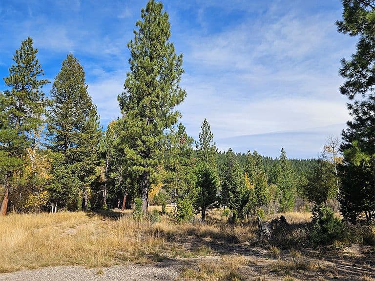 4270 Abe Lincoln Rd photo 5