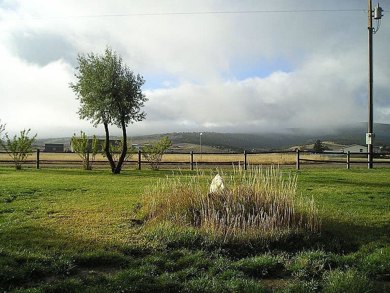 294 Red Canyon Rd photo 5