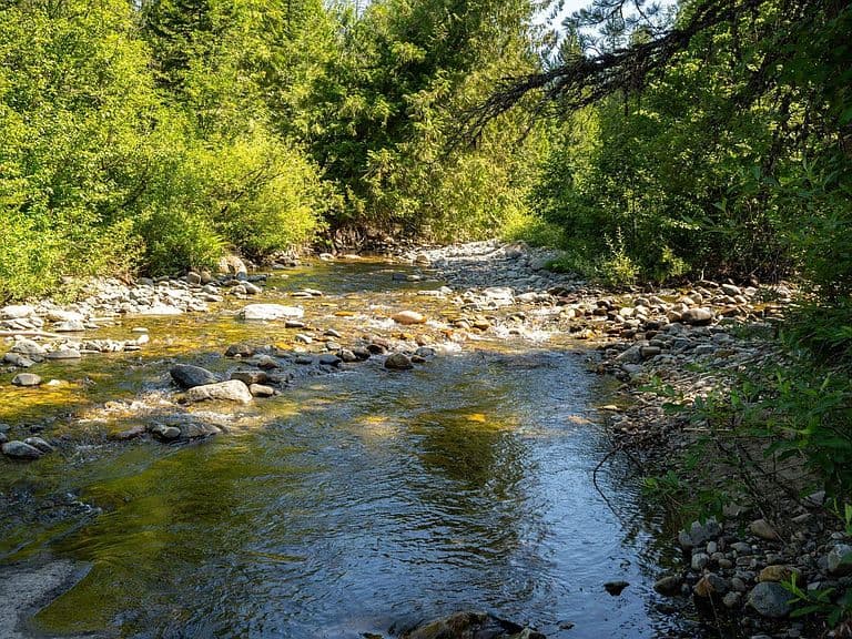 241 Strawberry Creek Rd photo 2