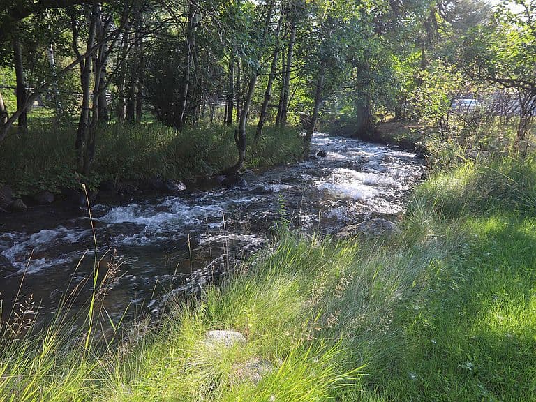 59 Fish Hatchery Rd photo 2
