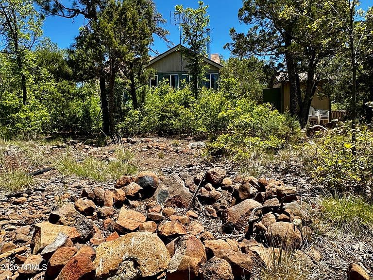 10810 Tanager -- photo 1