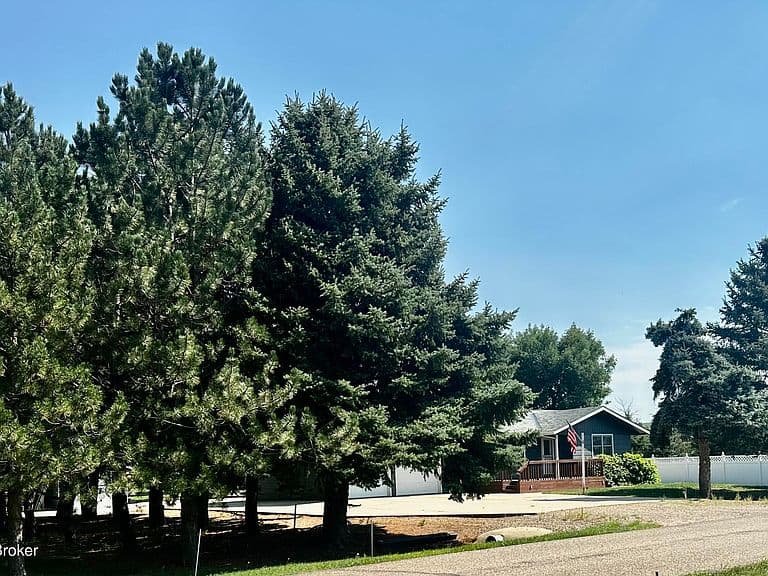 2153 Valentine Ave photo 4