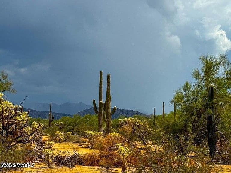 0 S Twin Hawk Ln Lot 4-5 photo 3