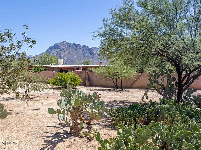 8625 N Mulberry Dr photo 3