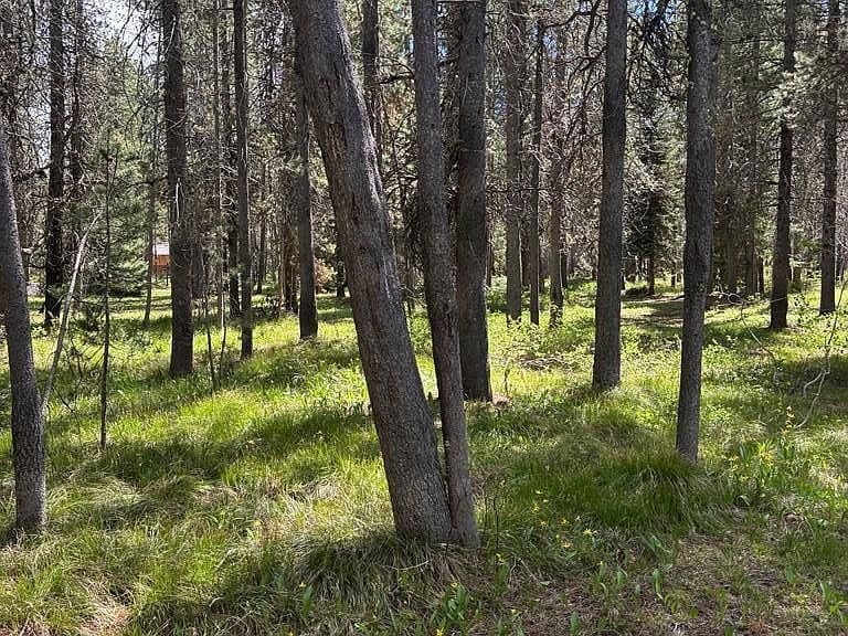 3739 Homestead Dr photo 5