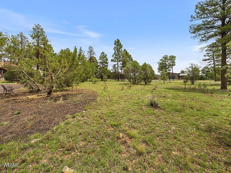2746 Sky Hawk Dr photo 4