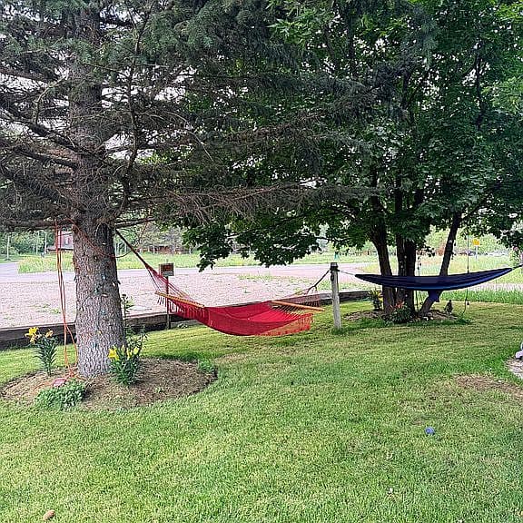321 Greys River Rd photo 5