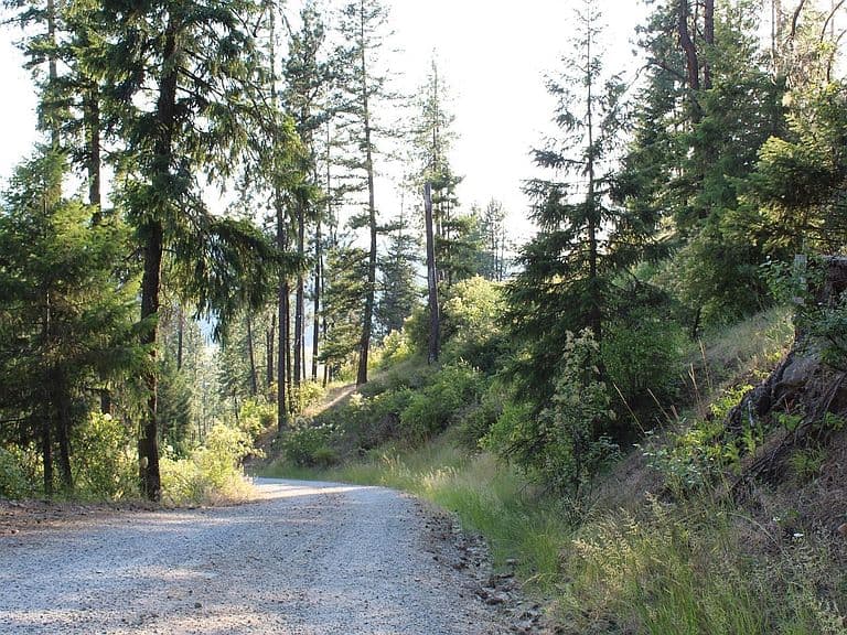 788 Gold Cup Mountain Rd photo 4