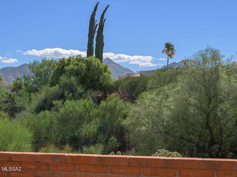 1382 W Camino Alicante photo 1