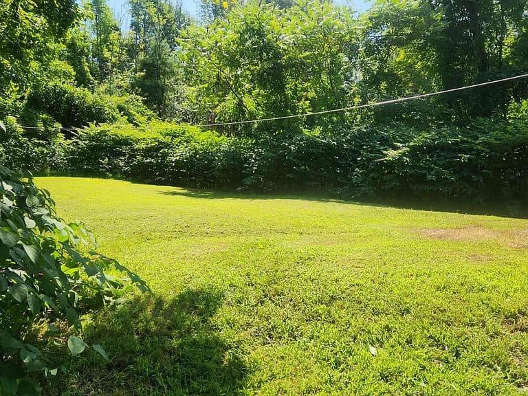 460 Prospect Street photo 5