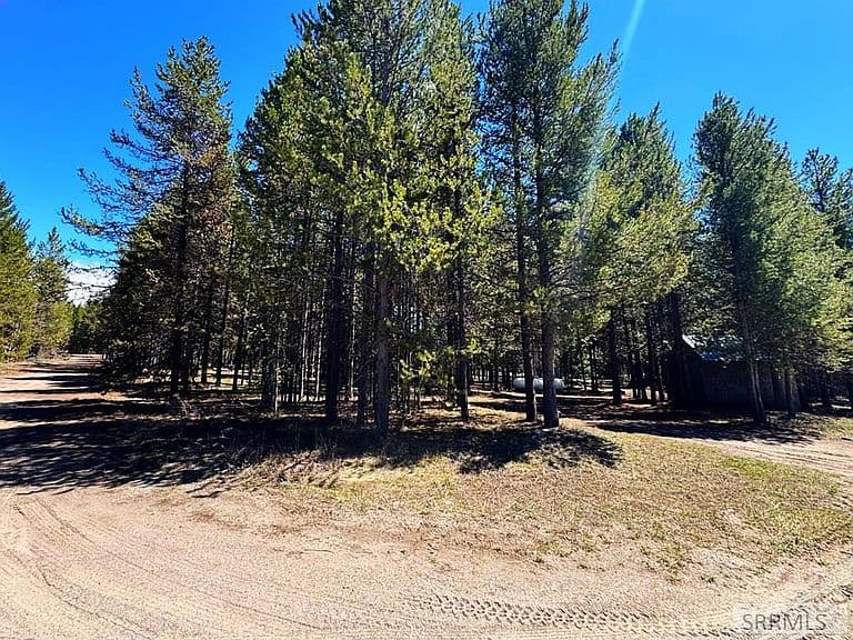 4066 Yale Creek Rd photo 2