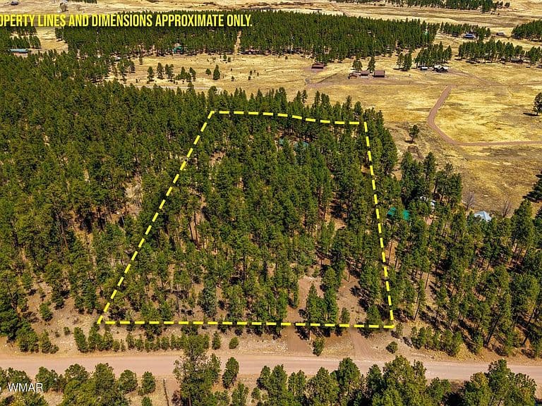61 County Road 2266 photo 3