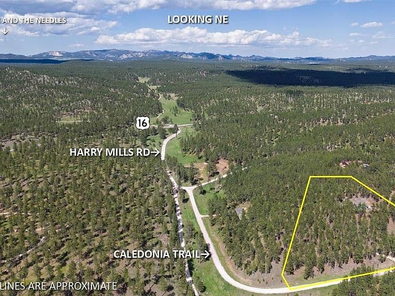 11754 Caledonia Trl photo 5