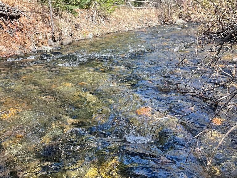 617 McClellan Creek Rd photo 5