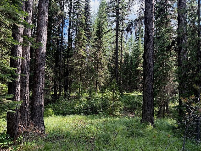 310 Moose Creek Rd photo 2
